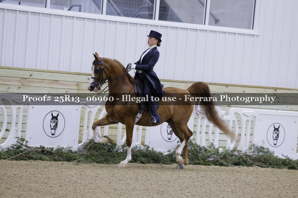 Proof 25R13_06960