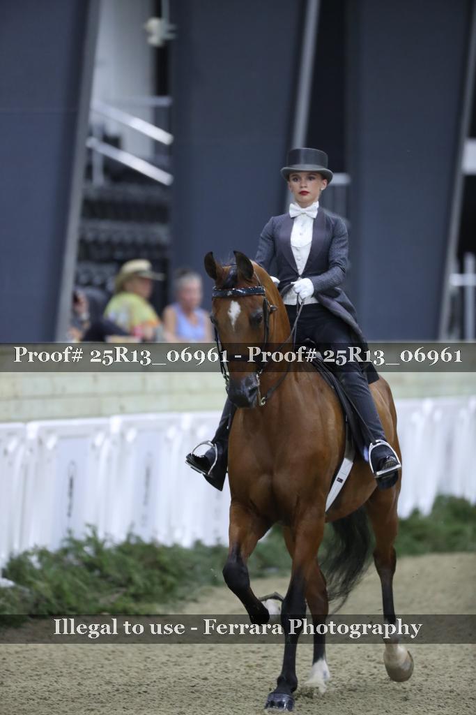 Proof 25R13_06961