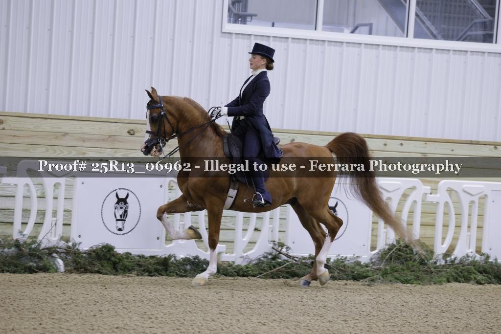Proof 25R13_06962