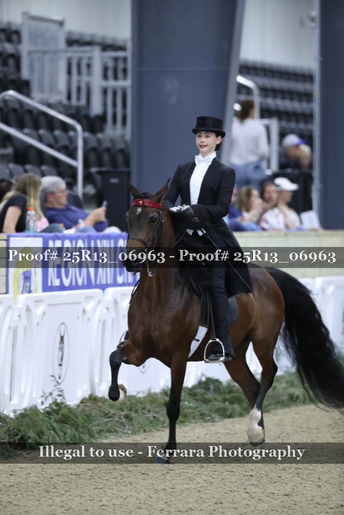 Proof 25R13_06963