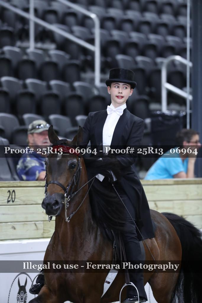 Proof 25R13_06964