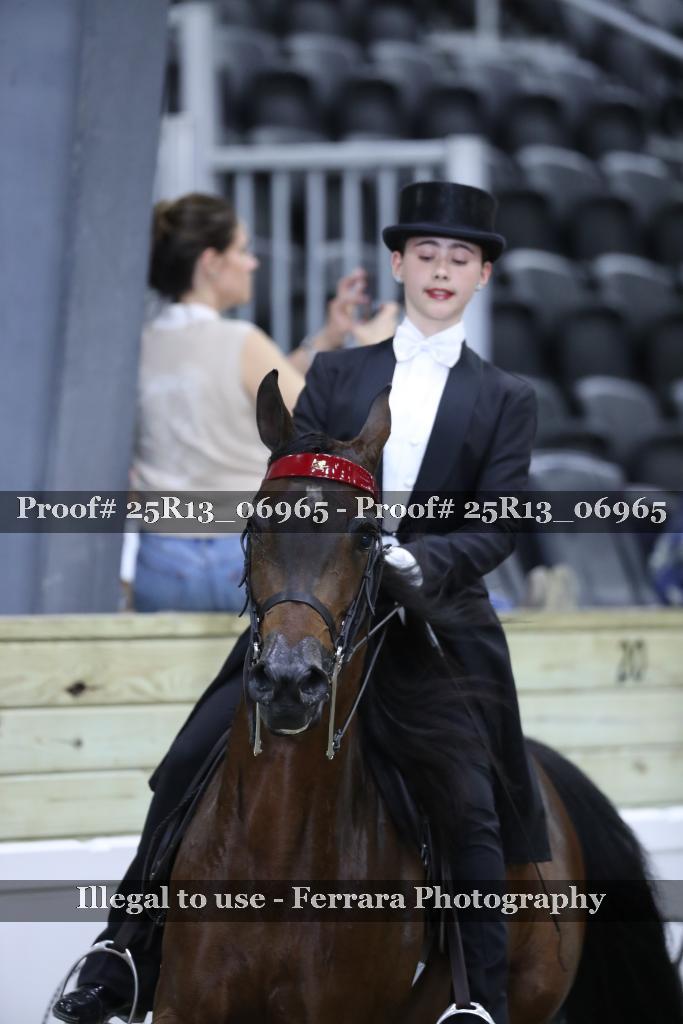 Proof 25R13_06965