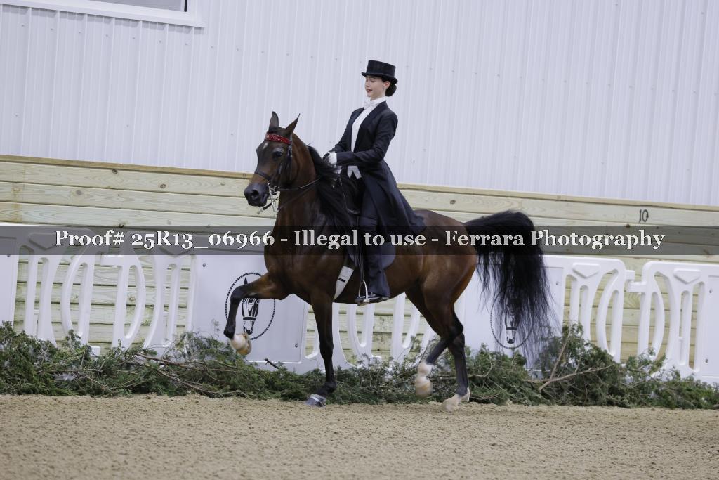 Proof 25R13_06966