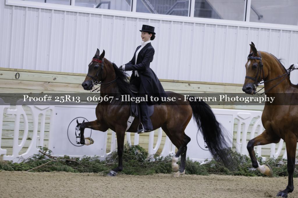 Proof 25R13_06967