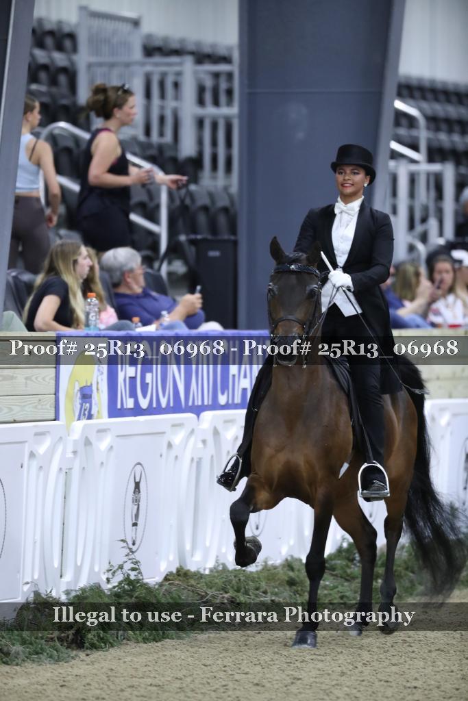 Proof 25R13_06968