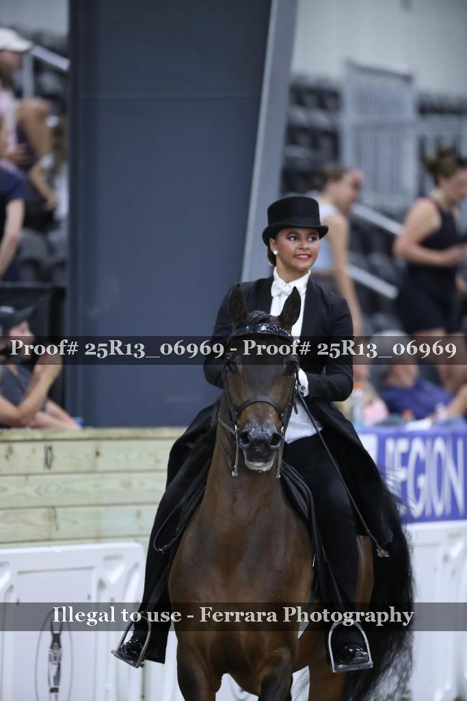 Proof 25R13_06969