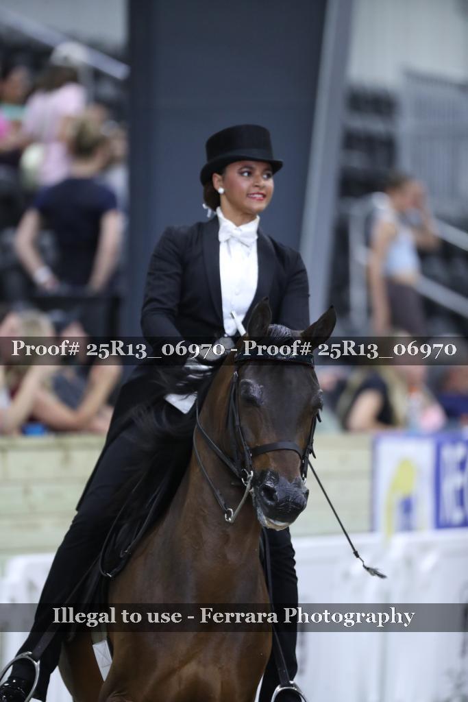 Proof 25R13_06970