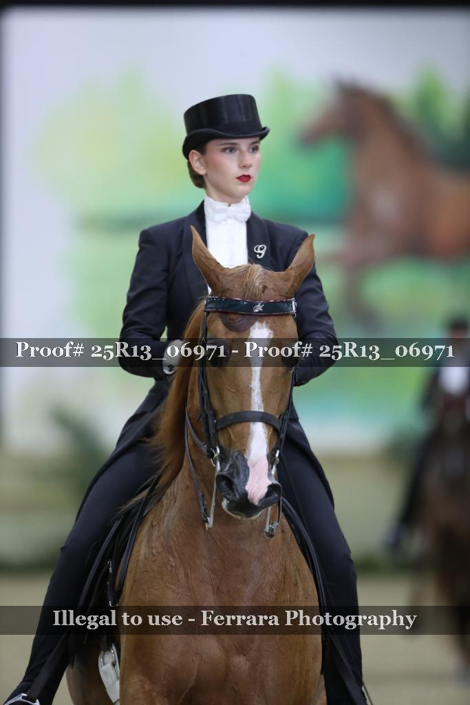 Proof 25R13_06971
