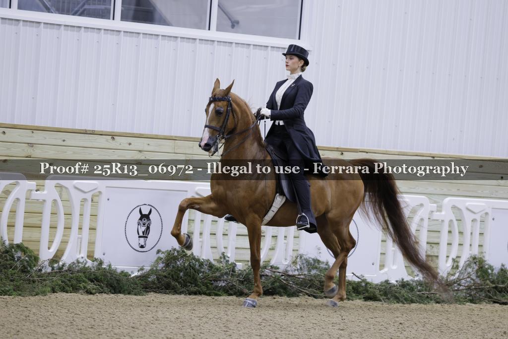 Proof 25R13_06972