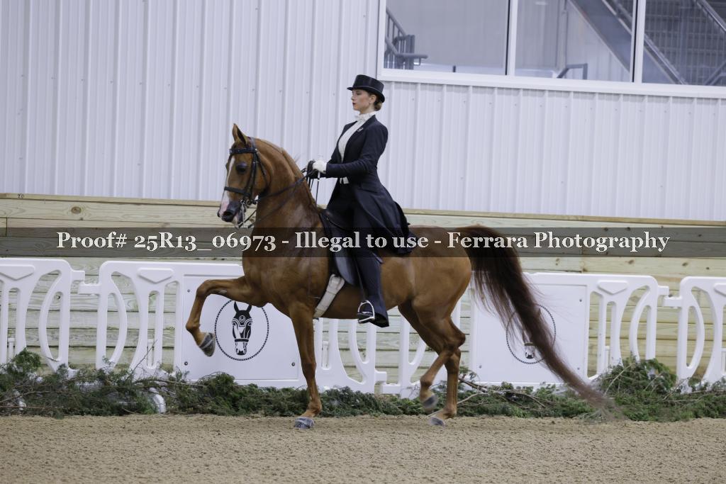 Proof 25R13_06973