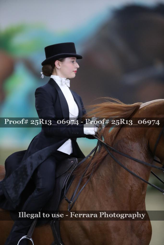Proof 25R13_06974