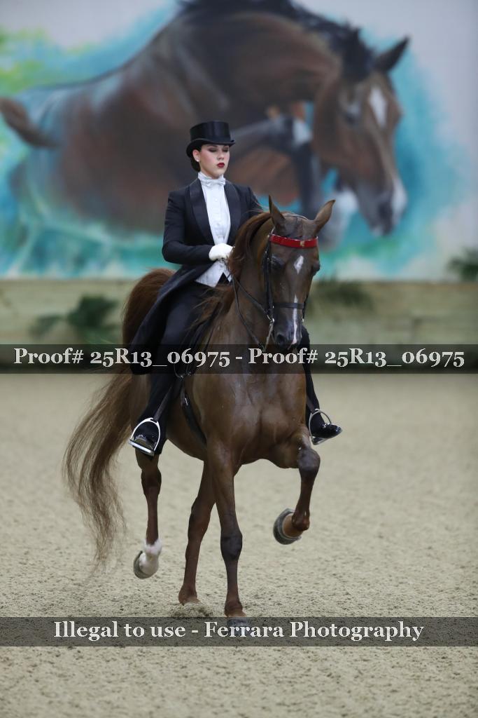 Proof 25R13_06975