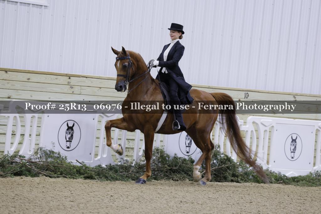 Proof 25R13_06976
