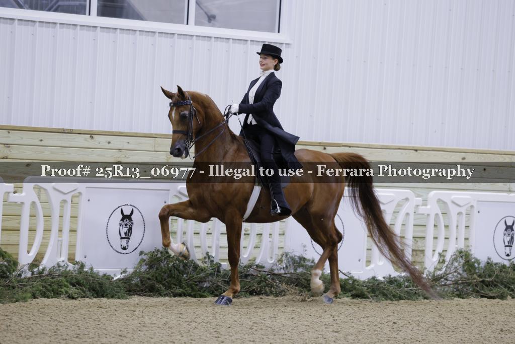 Proof 25R13_06977