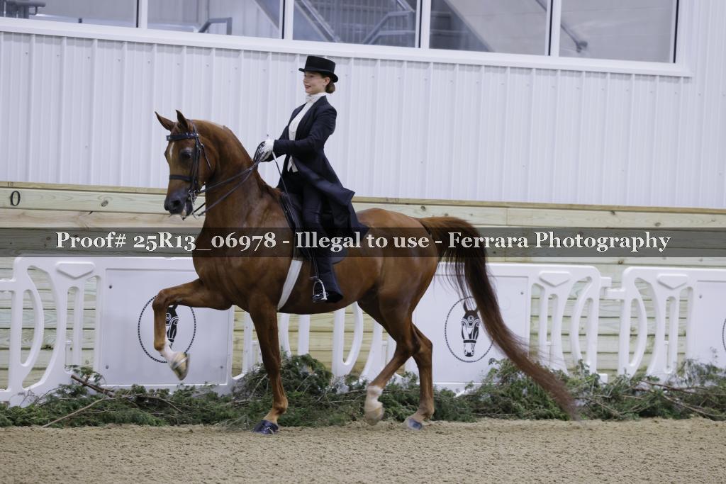Proof 25R13_06978