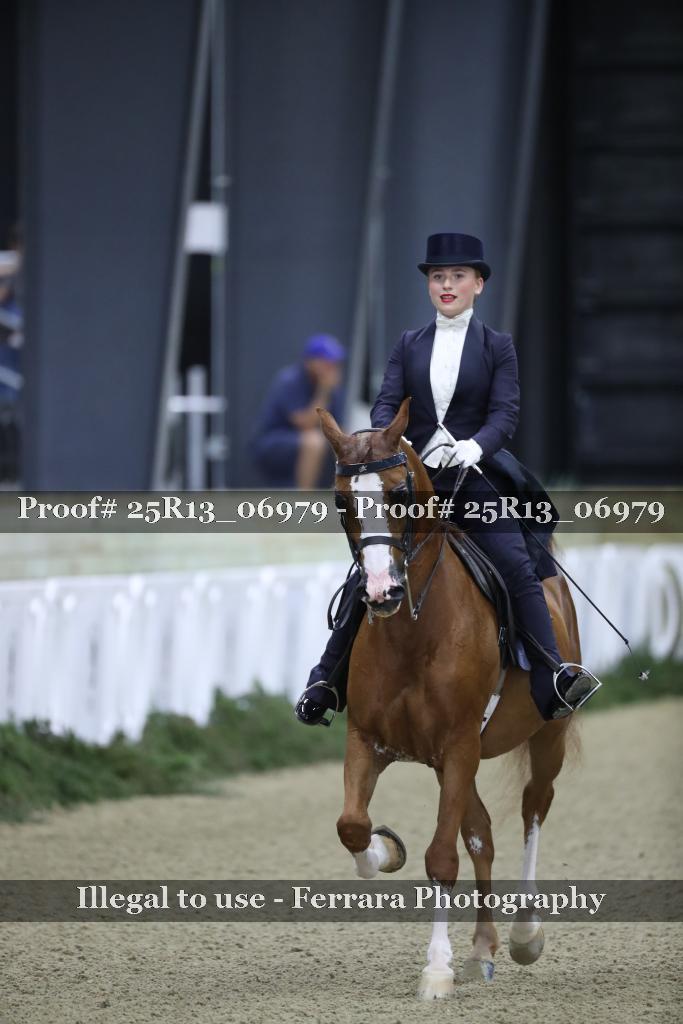 Proof 25R13_06979
