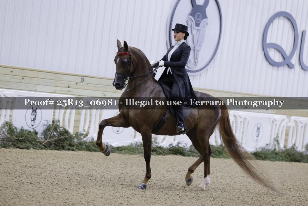 Proof 25R13_06981