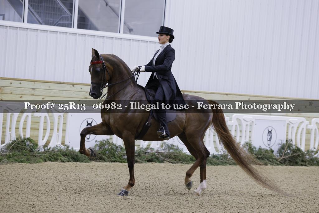 Proof 25R13_06982