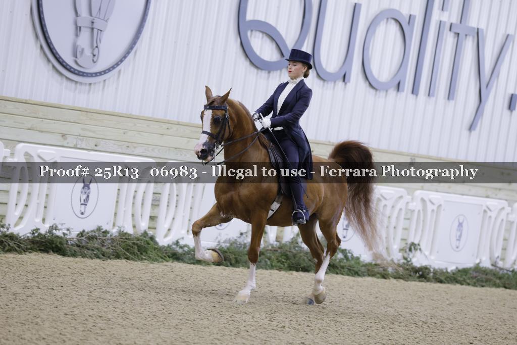 Proof 25R13_06983