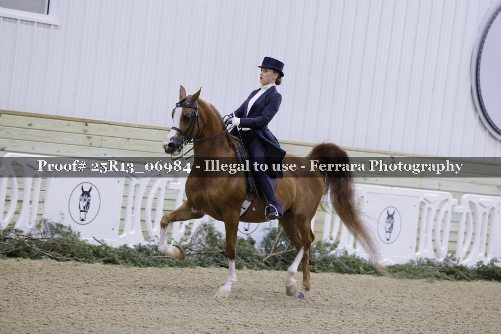 Proof 25R13_06984