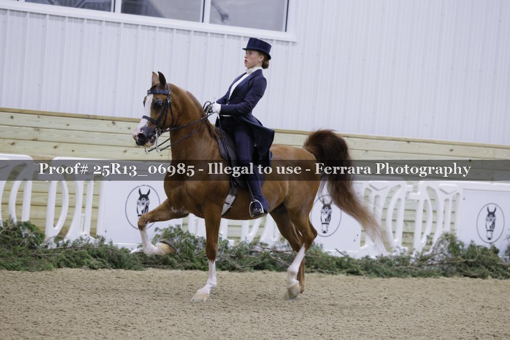 Proof 25R13_06985
