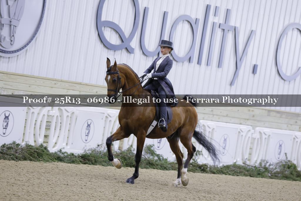 Proof 25R13_06986
