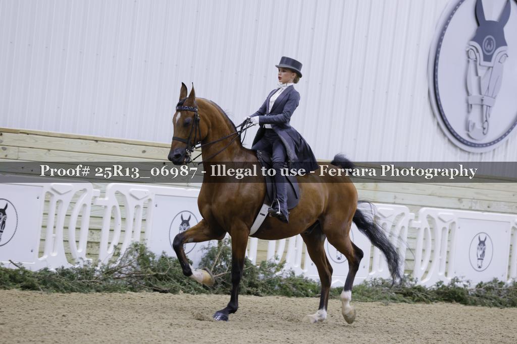 Proof 25R13_06987