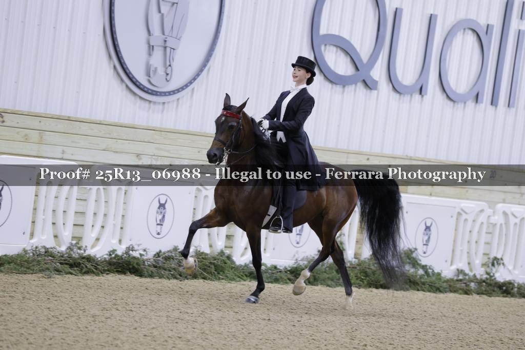 Proof 25R13_06988