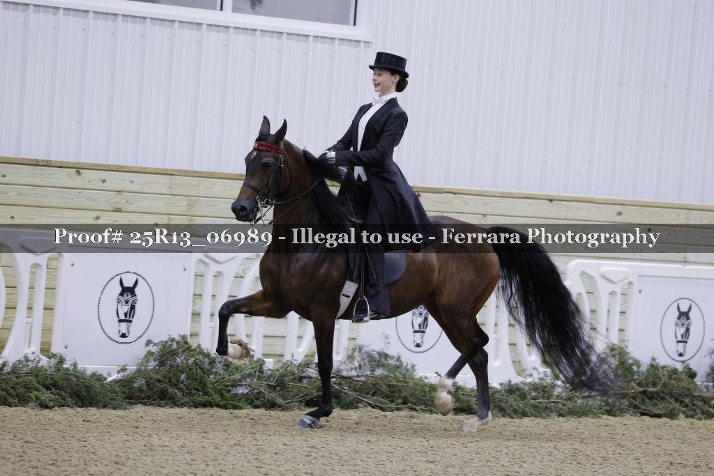 Proof 25R13_06989