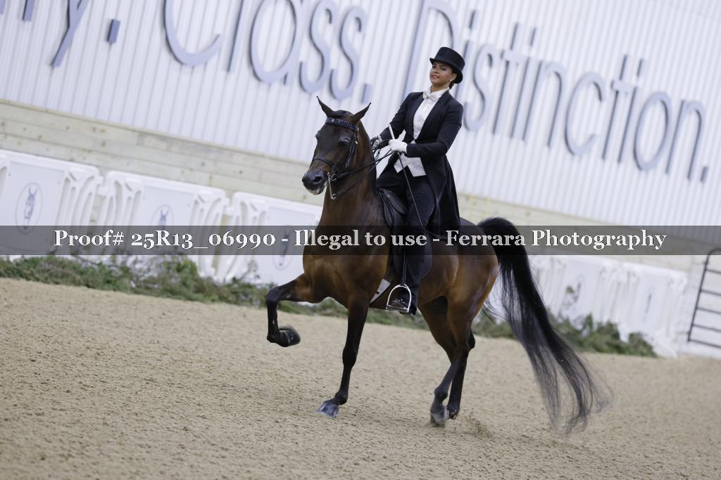 Proof 25R13_06990