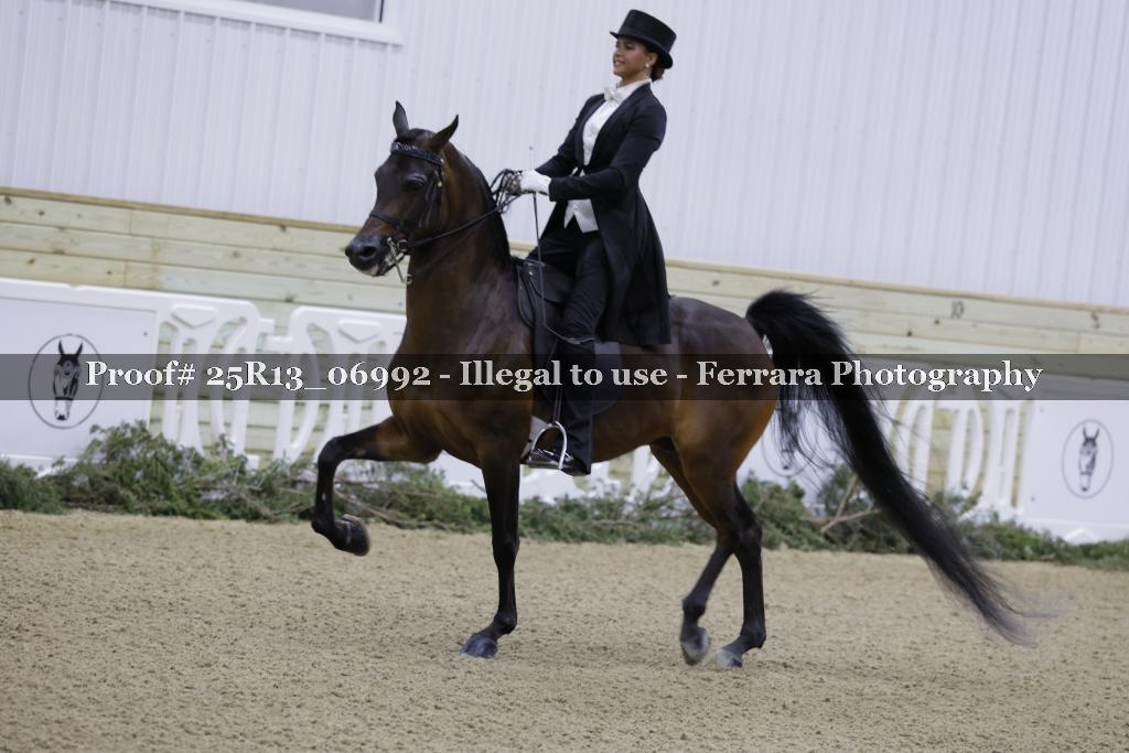 Proof 25R13_06992