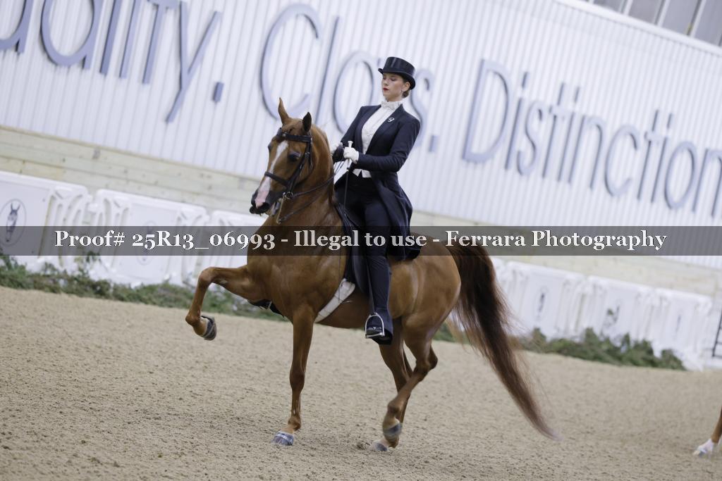 Proof 25R13_06993