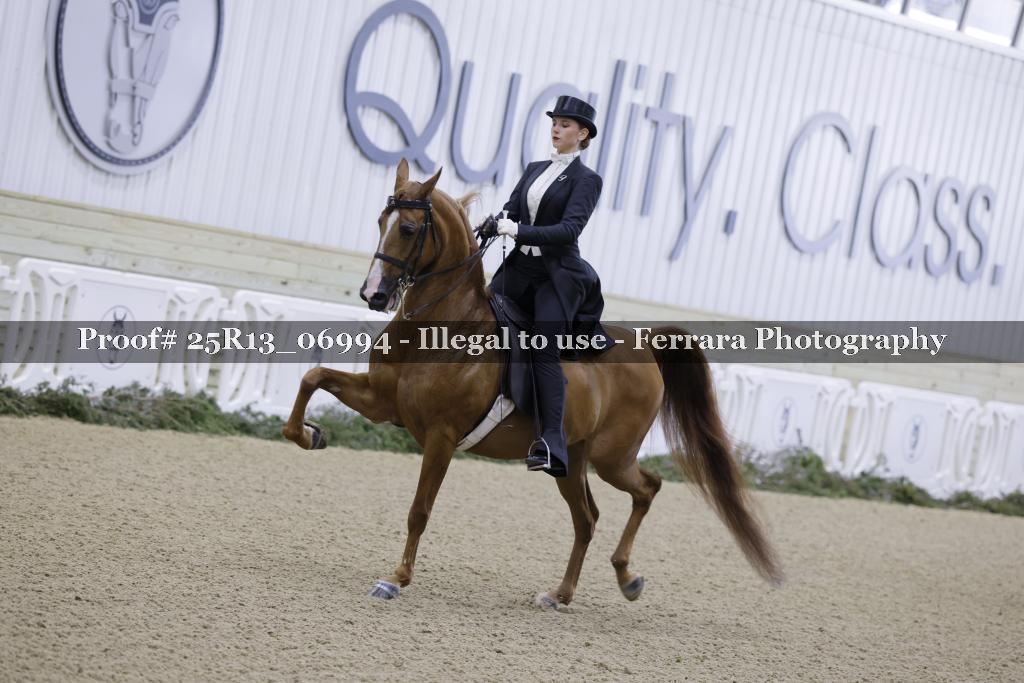 Proof 25R13_06994