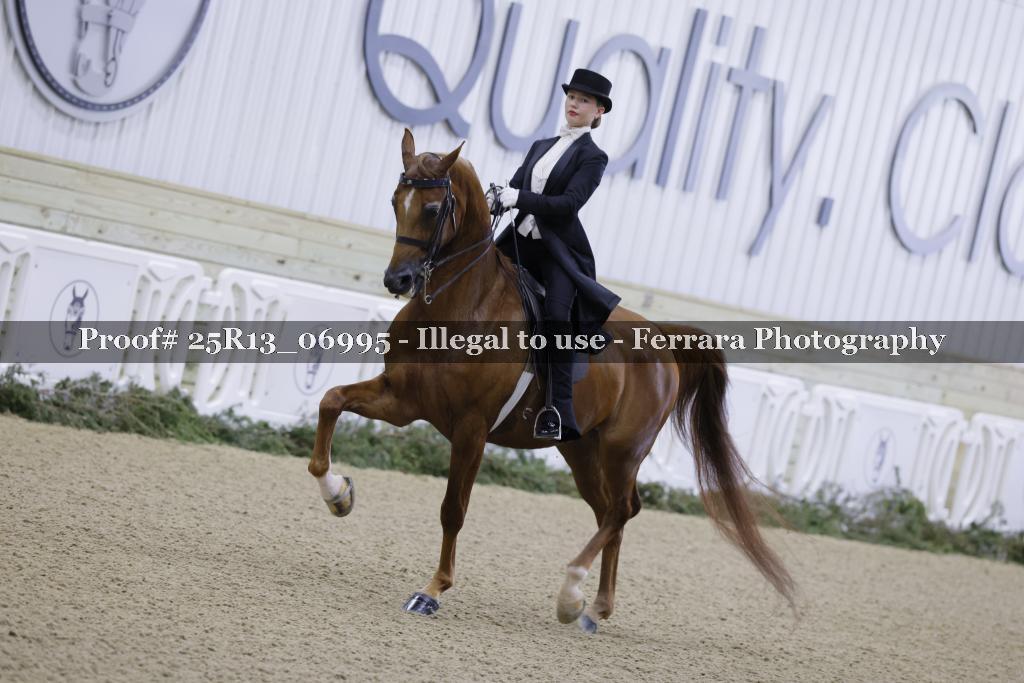Proof 25R13_06995