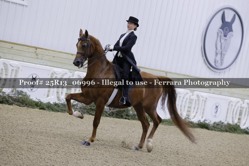 Proof 25R13_06996