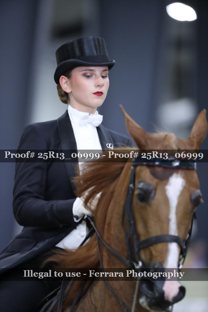 Proof 25R13_06999