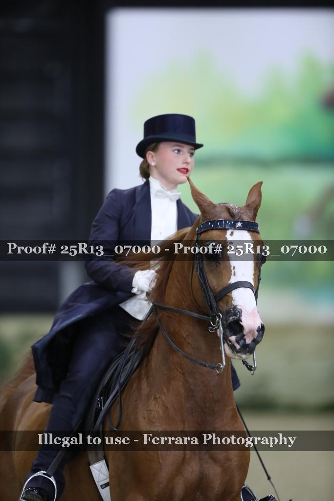 Proof 25R13_07000