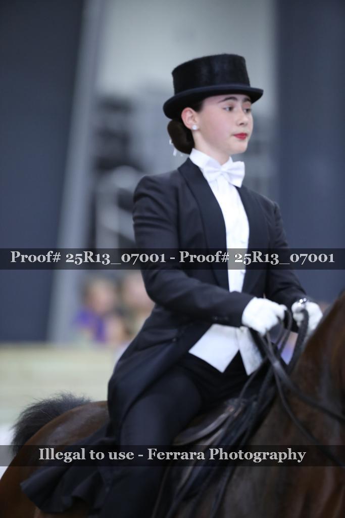 Proof 25R13_07001