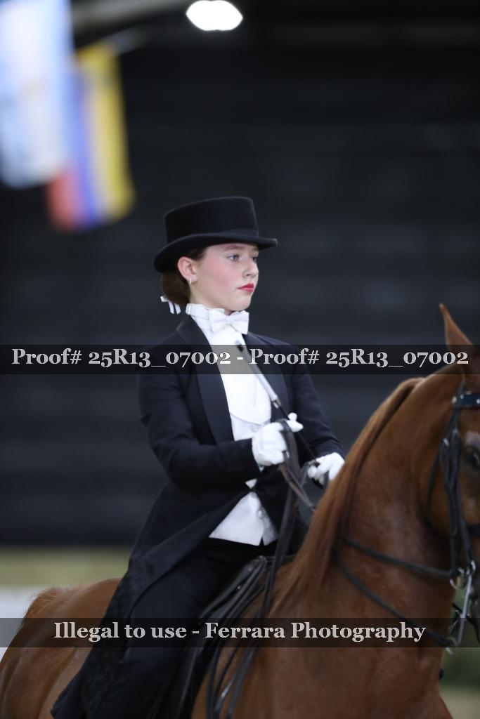Proof 25R13_07002