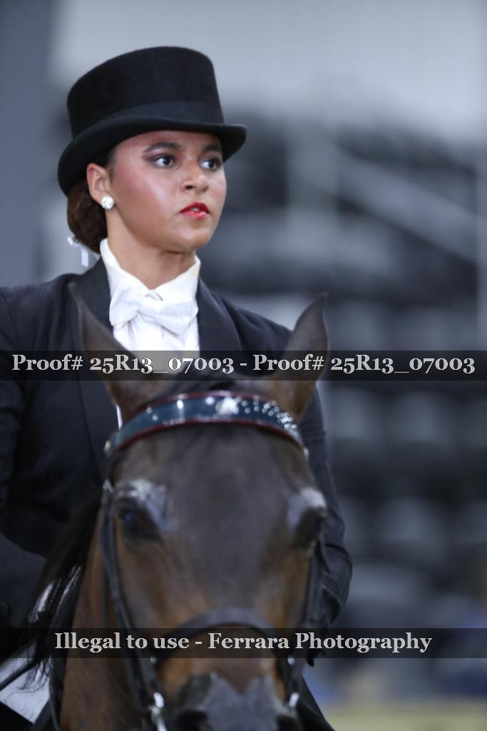Proof 25R13_07003