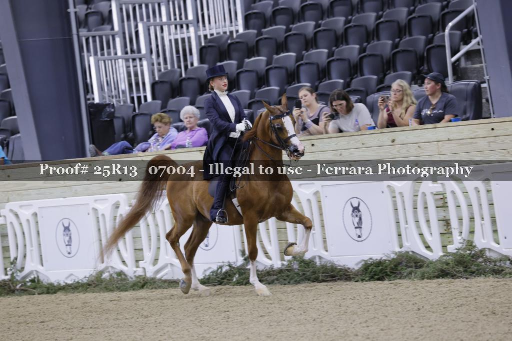 Proof 25R13_07004