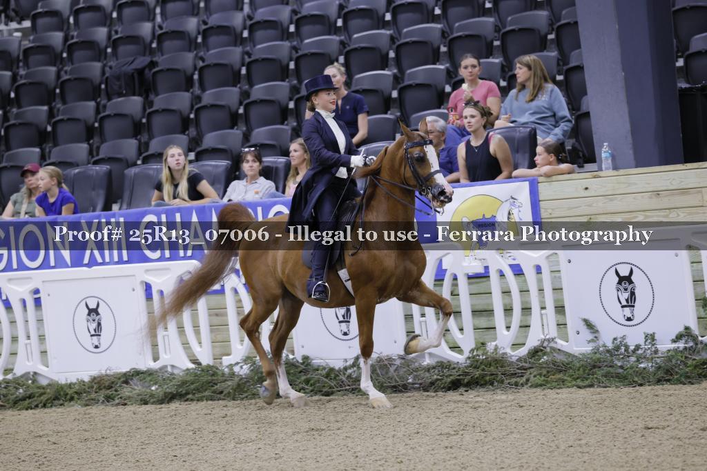 Proof 25R13_07006