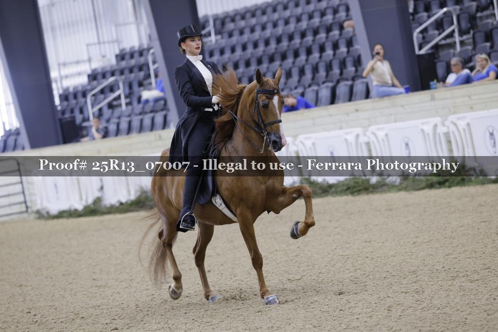 Proof 25R13_07007