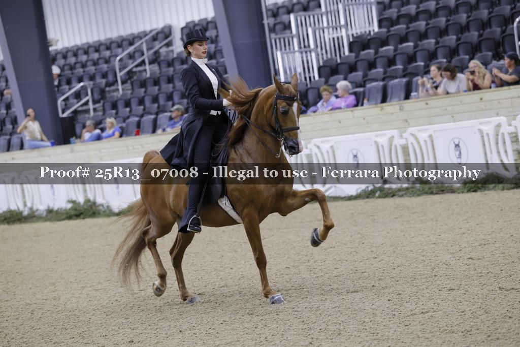 Proof 25R13_07008