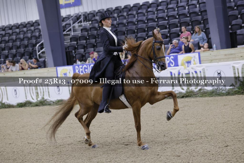 Proof 25R13_07009