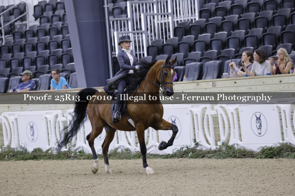 Proof 25R13_07010