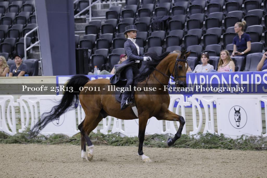 Proof 25R13_07011