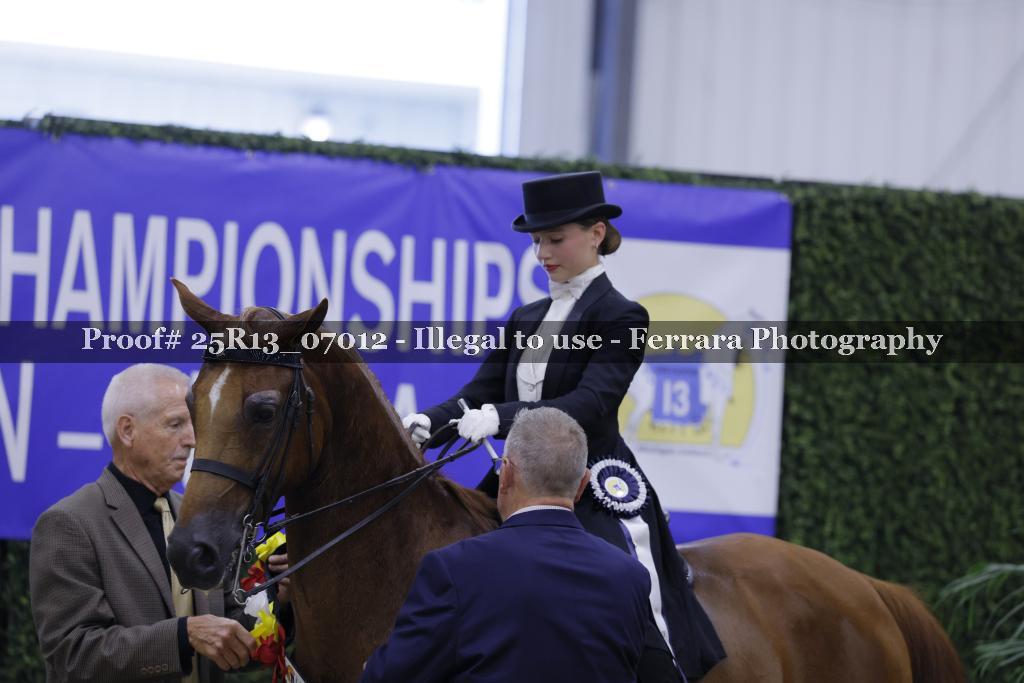 Proof 25R13_07012