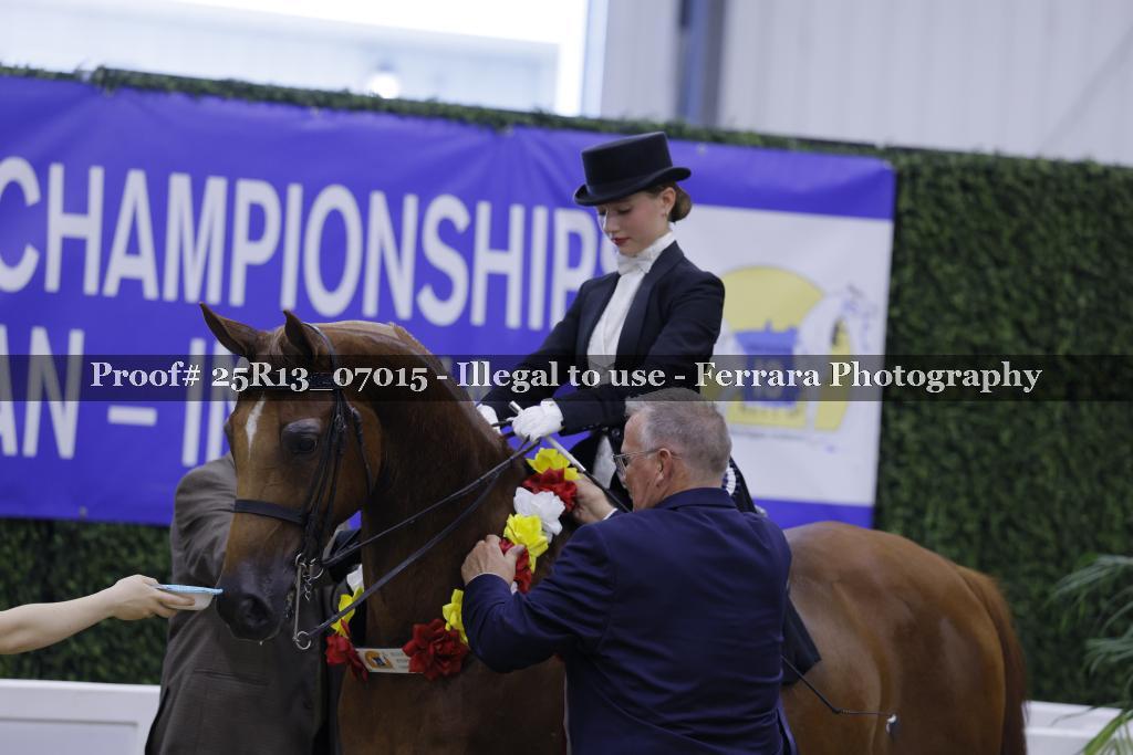Proof 25R13_07015