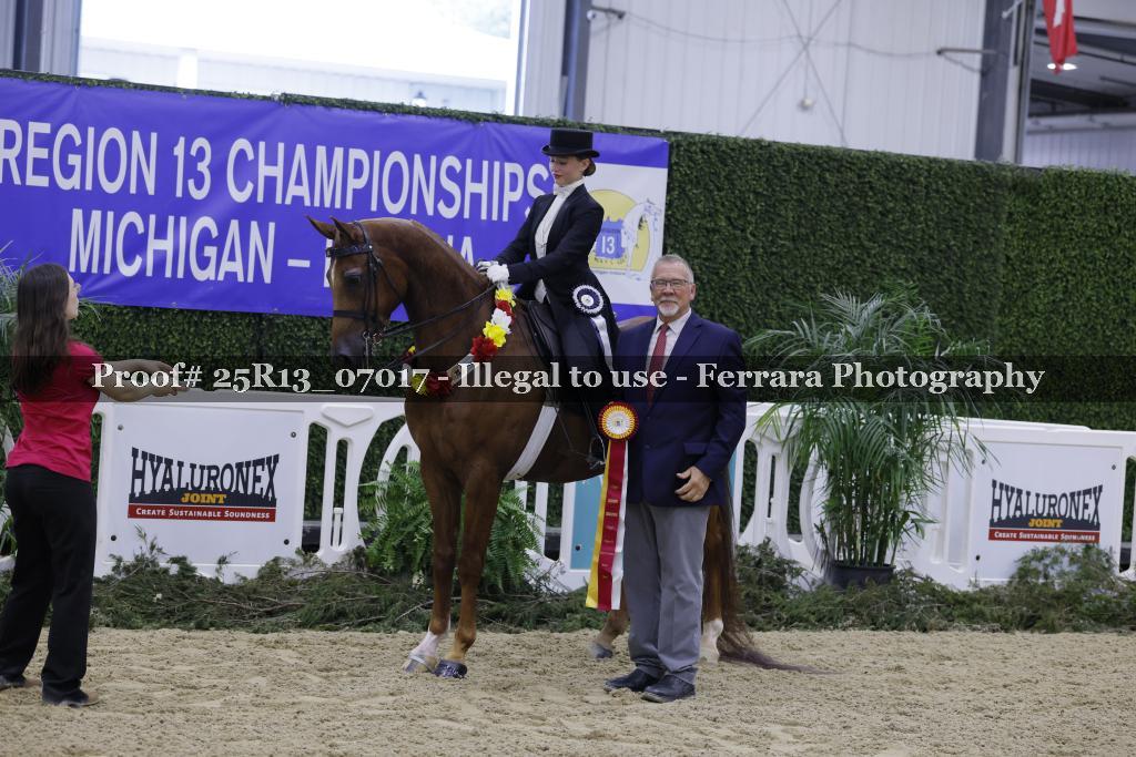 Proof 25R13_07017